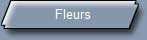 Fleurs