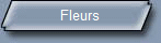 Fleurs
