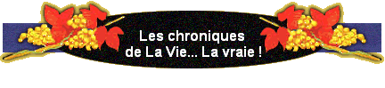 Les chroniques 
 de La Vie... La vraie !